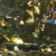 Illustration for article titled iMortal Kombat X/i takes its absurdity very seriously